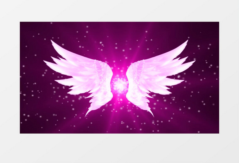 动画动态大气紫色唯美翅膀背景视频素材