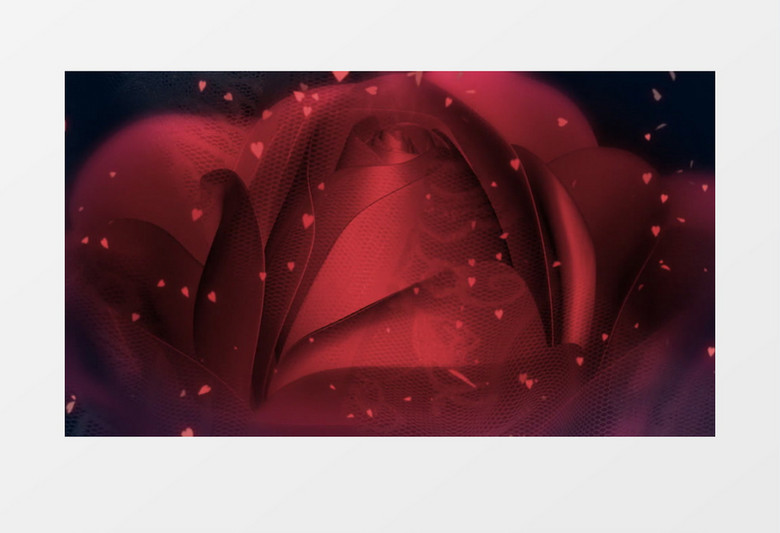 动画动态红色玫瑰花朵旋转飘落背景视频素材