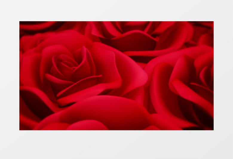 绽放的红玫瑰浪漫心型唯美婚礼背景