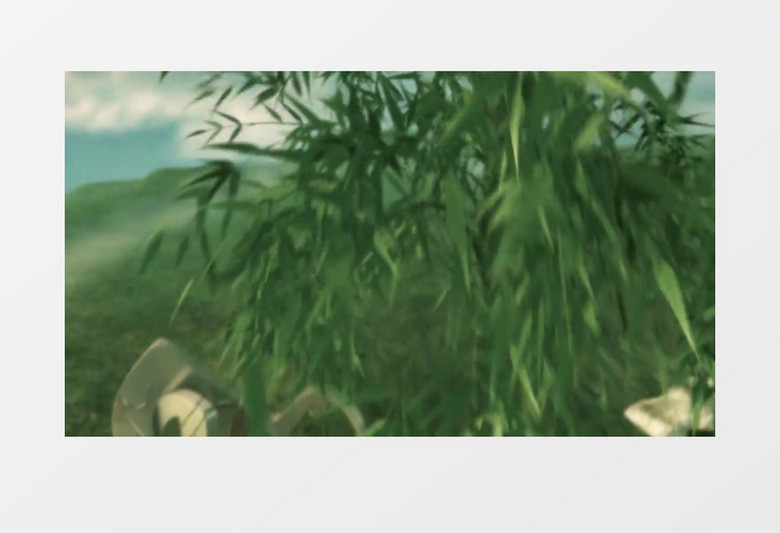 美丽的竹子同心结婚礼背景视频素材 