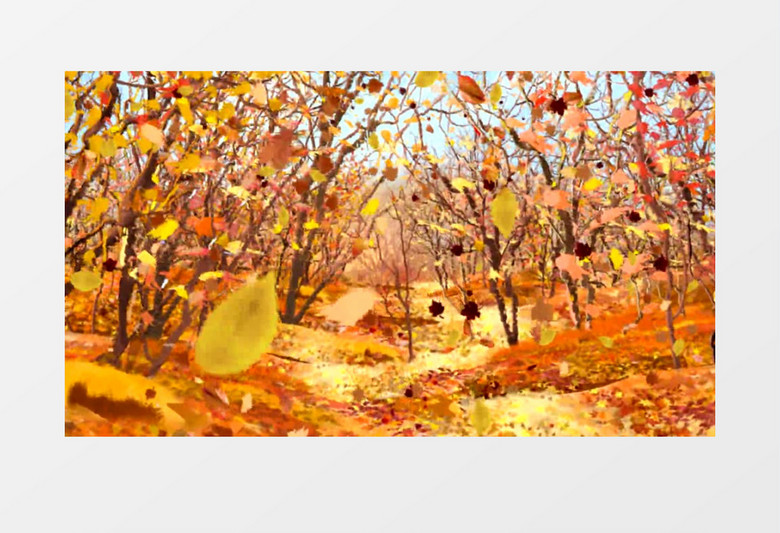 唯美浪漫的秋季的枫林背景视频素材