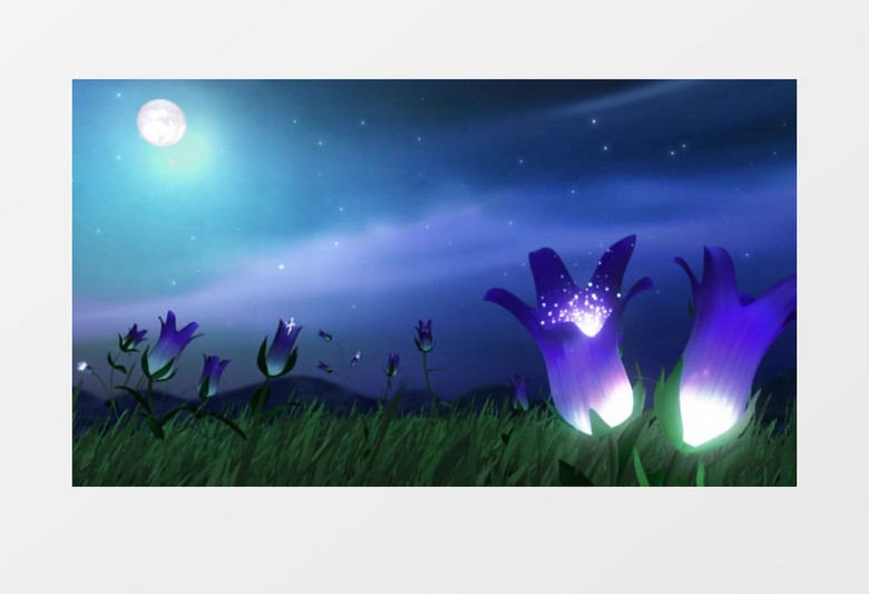 夜晚盛开的神奇紫色花朵背景视频素材