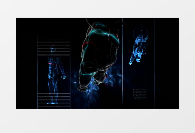 动画动态医学人体扫描背景视频素材