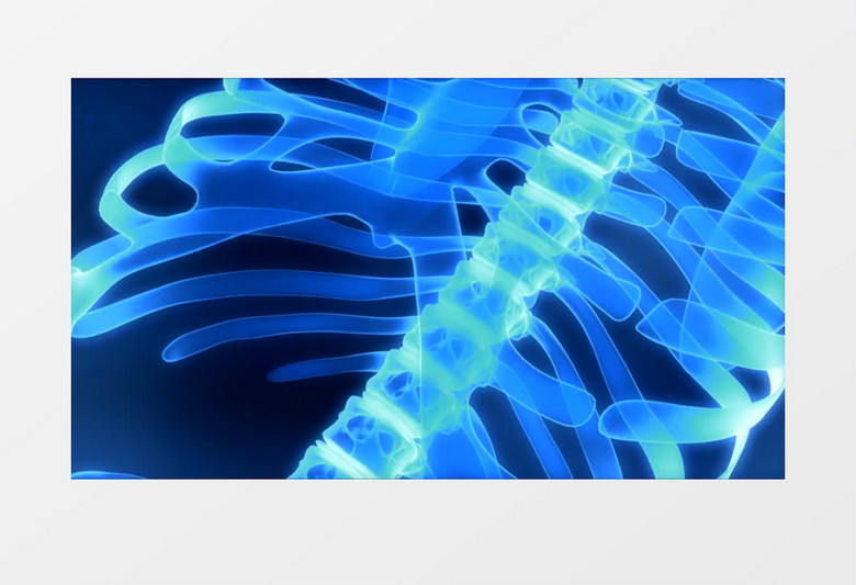 动画动态医学人体骨骼背景视频素材