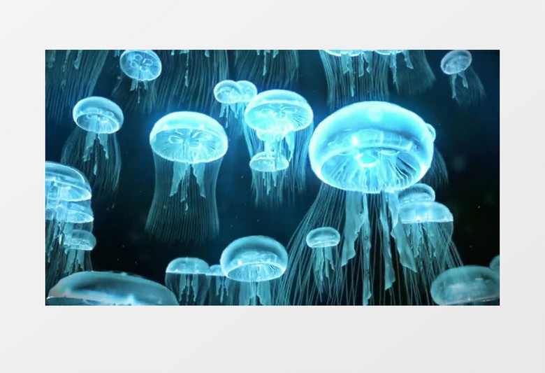 动画动态蓝色发光水母(有音乐)背景视频素材