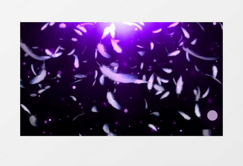动画动态白色羽毛飞舞飘落紫色背景视频素材