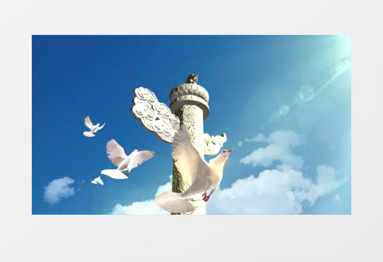 我爱祖国和平鸽背景视频素材 我爱祖国和平鸽背景视频素材