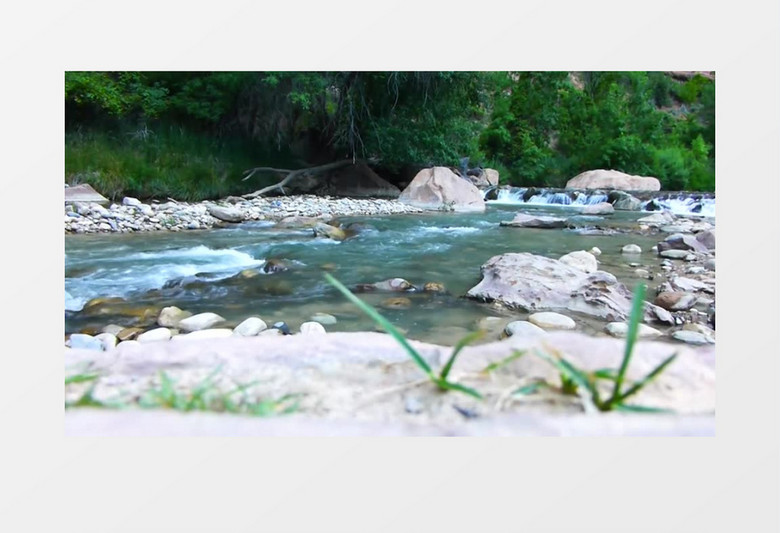 绿色清澈小溪流水实拍视频素材