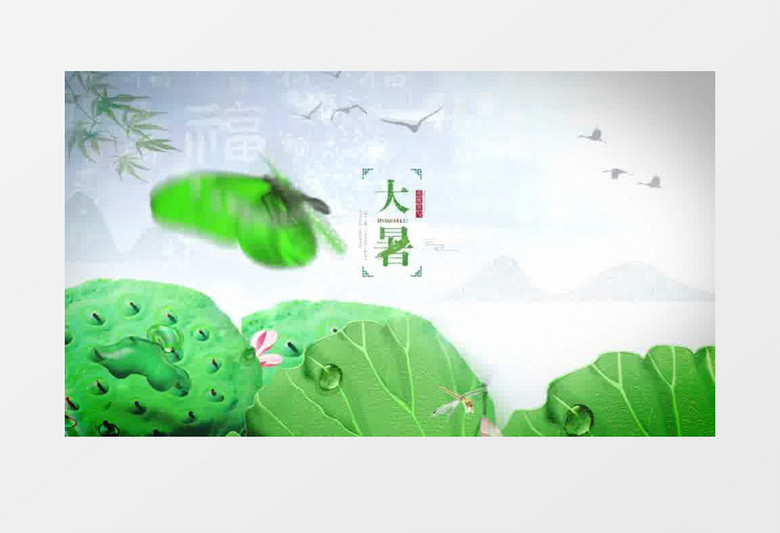 二十四节气之大暑节气ae模板