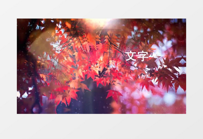 秋天的回忆秋天的美景枫叶AE模板