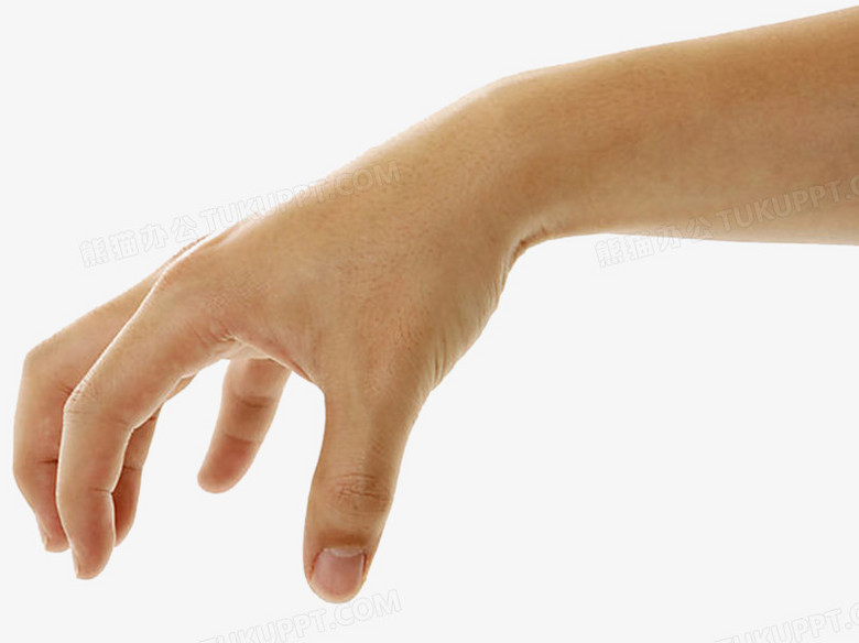 手掌向下抓东西PNG图片素材免费下载_png格