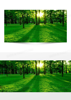 公园背景 图片素材 高清公园背景图片设计下载 熊猫办公