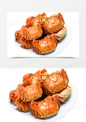 世界上最大的螃蟹图片照片 288x407