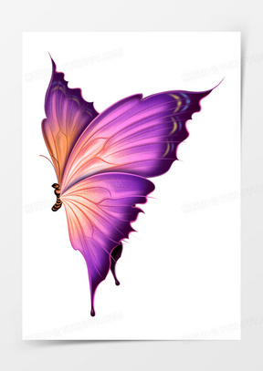 卡通蝴蝶素材 卡通蝴蝶图片 卡通蝴蝶素材图片下载 熊猫办公