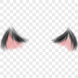 卡通猫耳朵图片 卡通猫耳朵素材 卡通猫耳朵免费png大全下载 熊猫办公
