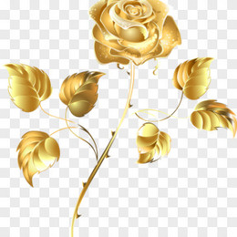 金色玫瑰花图片素材 金色玫瑰花png设计图片下载 熊猫办公