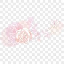 潮流透明花png图片素材下载 透明png 熊猫办公