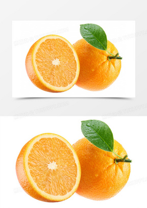 288x407