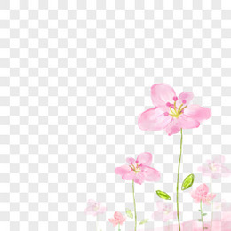 花背景图图片 花背景图素材 花背景图png大全下载 熊猫办公