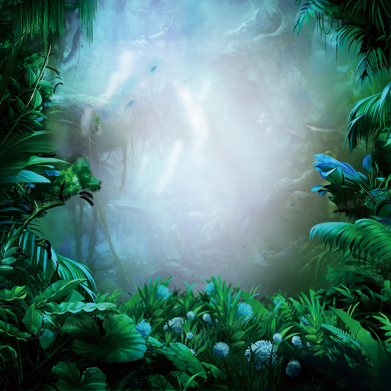 森林背景背景图片素材免费下载 熊猫办公