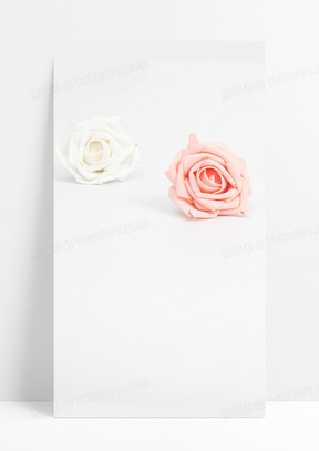 白色背景下的花h5背景背景图片素材免费下载 熊猫办公