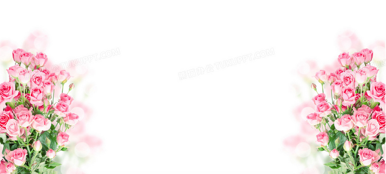 唯美大气大红玫瑰花海报背景背景图片素材免费下载 熊猫办公 唯美大气大红玫瑰花海报背景背景图片素材免费下载 熊猫办公