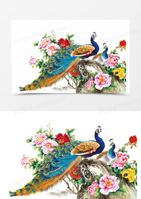 孔雀图素材 孔雀图图片 孔雀图免费模板下载 熊猫办公