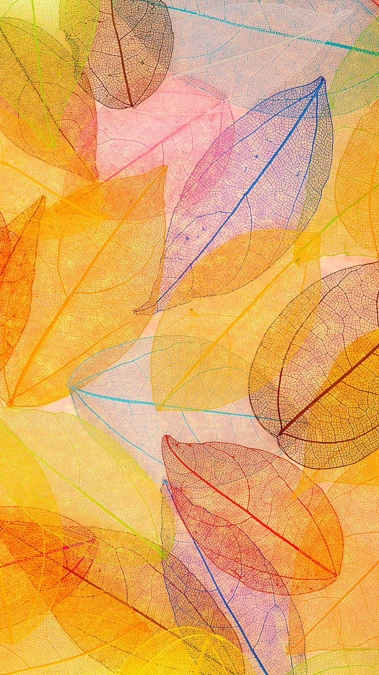 树叶创意纹理h5背景