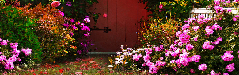 秘密花园背景图片素材免费下载 秘密花园背景 19 600像素 熊猫办公