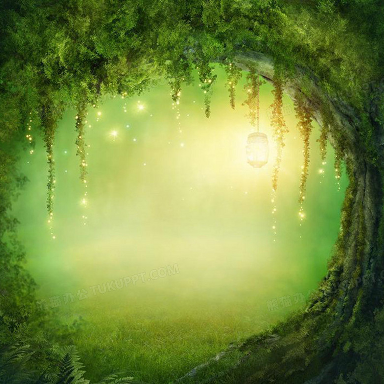 神秘森林背景背景图片素材免费下载 神秘背景 800 800像素 熊猫办公 神秘森林背景背景图片素材免费下载 神秘背景 800 800像素 熊猫办公