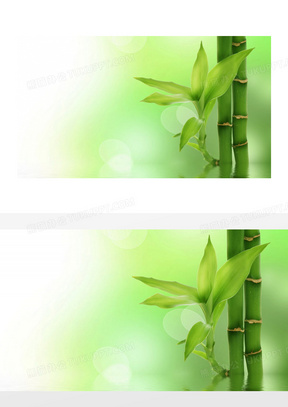 竹背景 图片素材 高清竹背景图片设计下载 熊猫办公