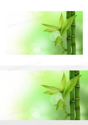竹背景 图片素材 高清竹背景图片设计下载 熊猫办公 竹背景 图片素材 高清竹背景图片设计下载 熊猫办公
