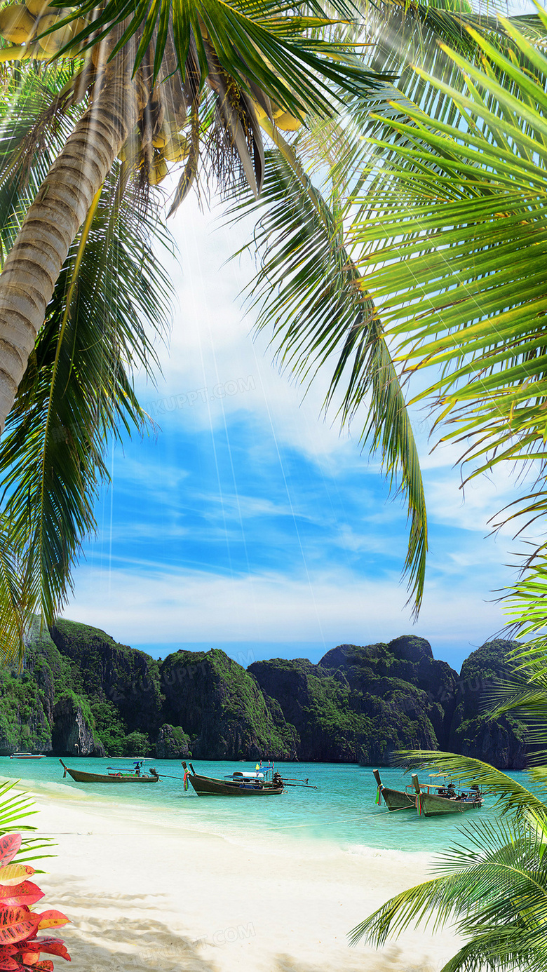 夏日阳光沙滩背景背景图片素材免费下载 阳光背景 1080 19像素 熊猫办公