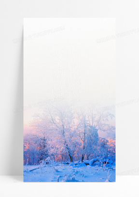冬景素材 冬景图片 冬景免费模板下载 熊猫办公