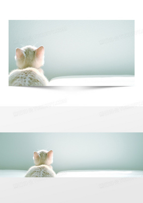 小猫背景图片素材 高清小猫背景图片设计下载 熊猫办公 小猫背景图片素材 高清小猫背景图片设计下载 熊猫办公