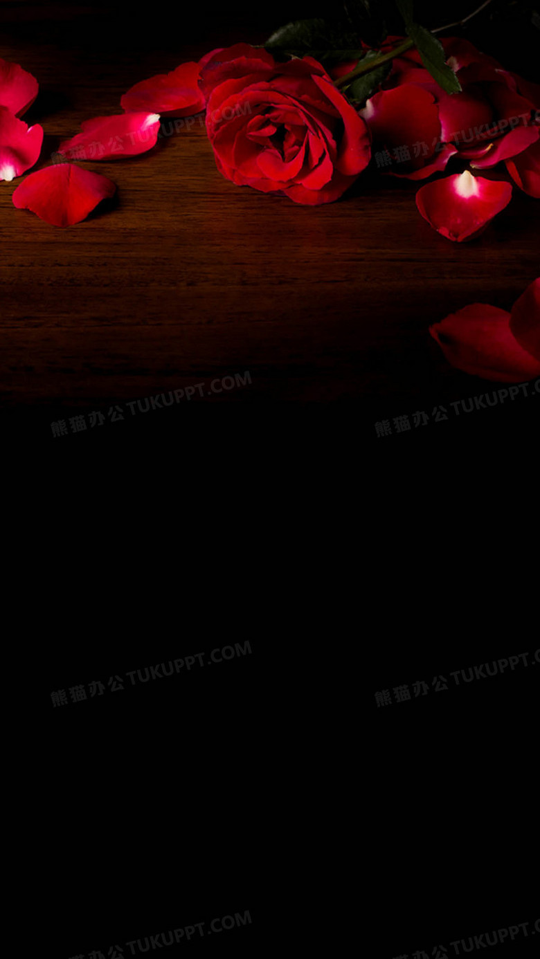 玫瑰花背景图背景图片素材免费下载 玫瑰花背景 1080 19像素 熊猫办公