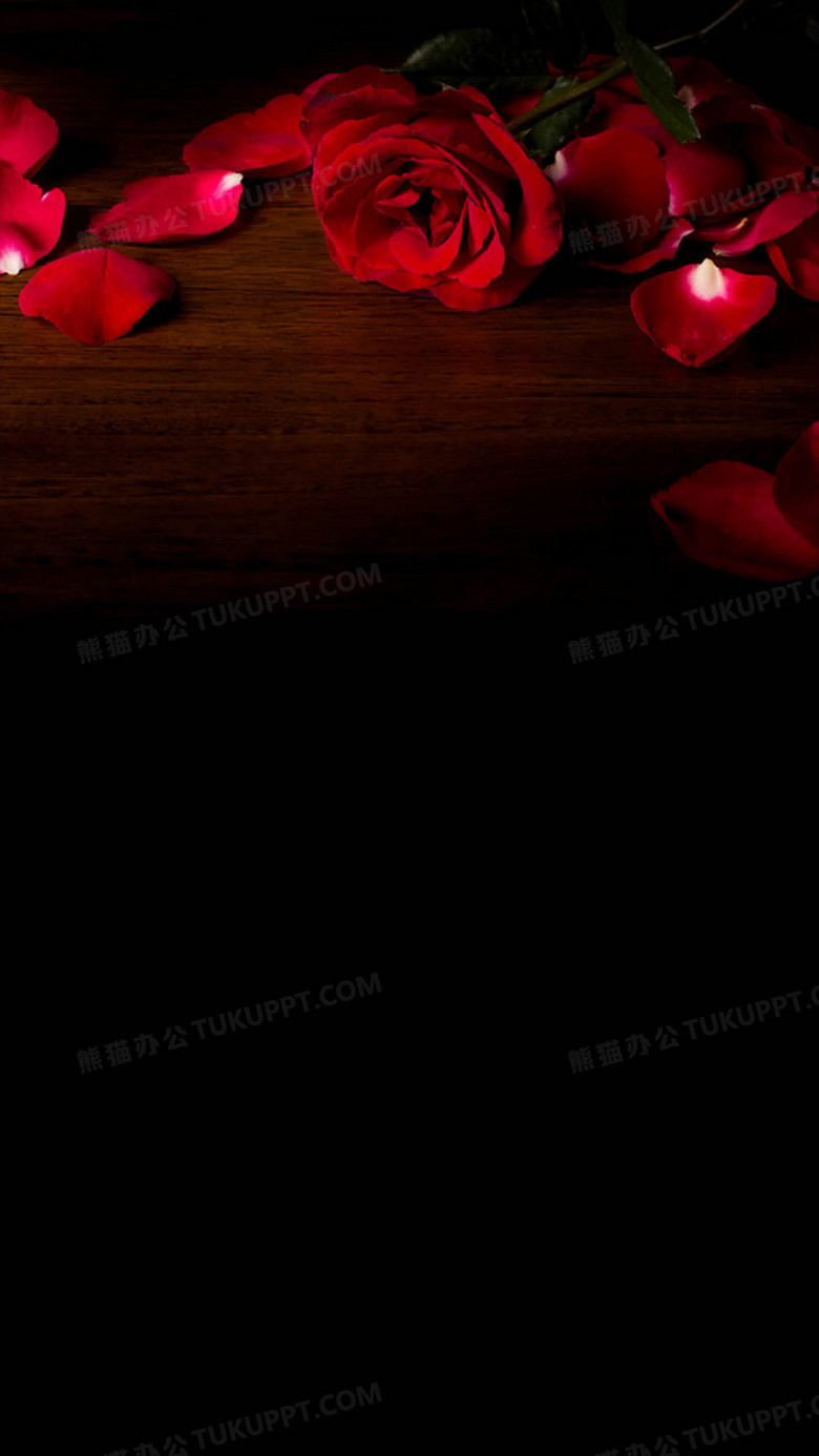 玫瑰花背景图背景图片素材免费下载 熊猫办公 玫瑰花背景图背景图片素材免费下载 熊猫办公