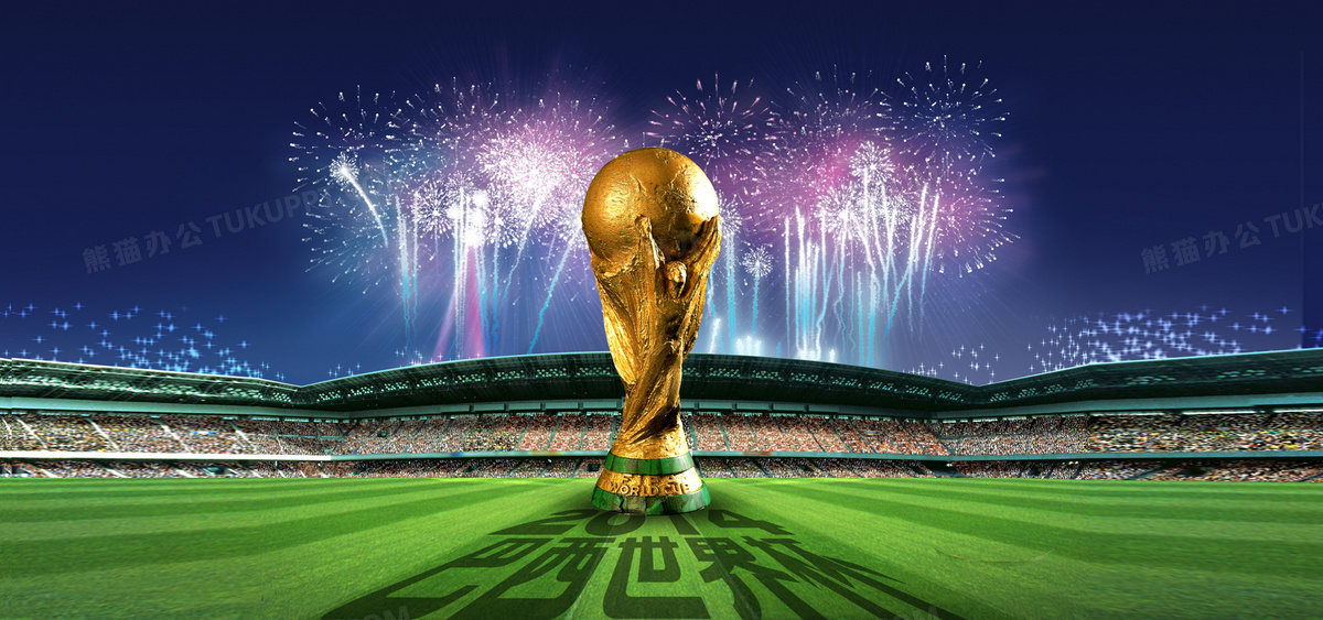 2022世界杯投注网站下载全国杯的足球介绍