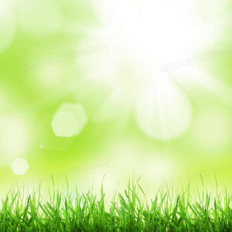 清新绿草朦胧背景图背景图片素材免费下载 熊猫办公