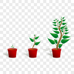 植物成长png图片素材免费下载 植物成长png 2851 1461像素 熊猫办公