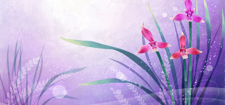 紫色浪漫水仙花背景背景图片素材免费下载 熊猫办公 紫色浪漫水仙花背景背景图片素材免费下载 熊猫办公