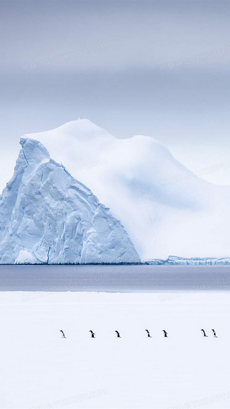 冰山一角h5背景背景图片素材免费下载 冰山背景 1080 19像素 熊猫办公