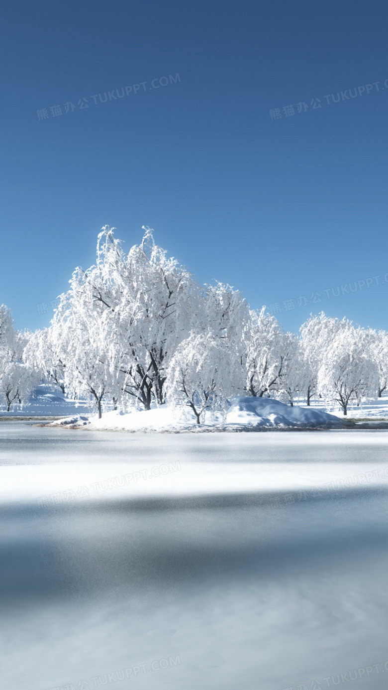 冬天雪地h5背景背景图片素材免费下载 雪地背景 1080 19像素 熊猫办公