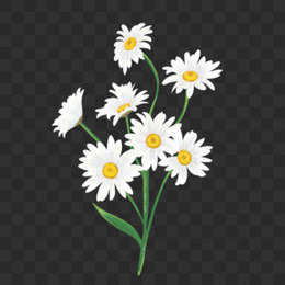 收藏 本作品全称为《卡通手绘一片小雏菊丛植物元素》,使用 adobe