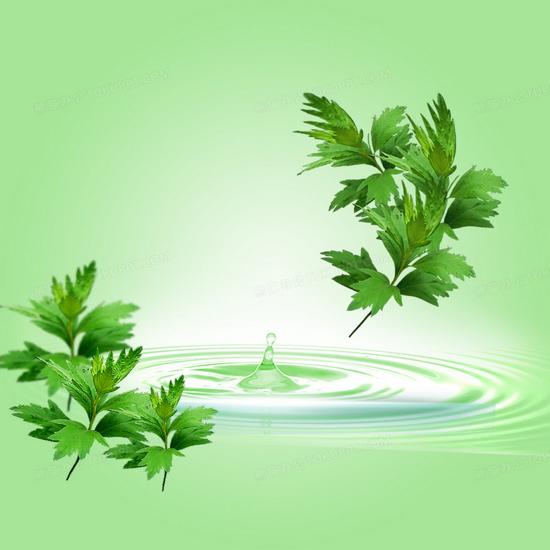 淡绿色水纹艾草背景背景图片素材免费下载 熊猫办公 淡绿色水纹艾草背景背景图片素材免费下载 熊猫办公