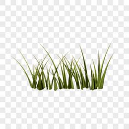 卡通绿色草丛植物png图片素材下载 卡通png 熊猫办公