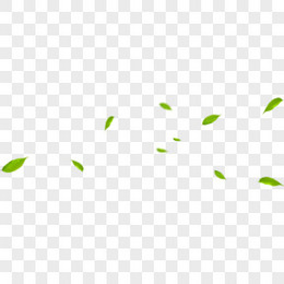 绿色树叶png图片素材下载 树叶png 熊猫办公