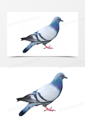 288x407