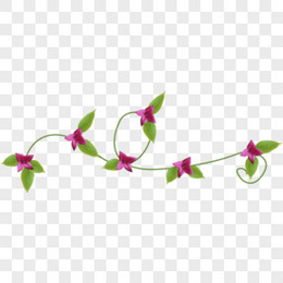 花蔓图片 花蔓素材 花蔓png大全下载 熊猫办公