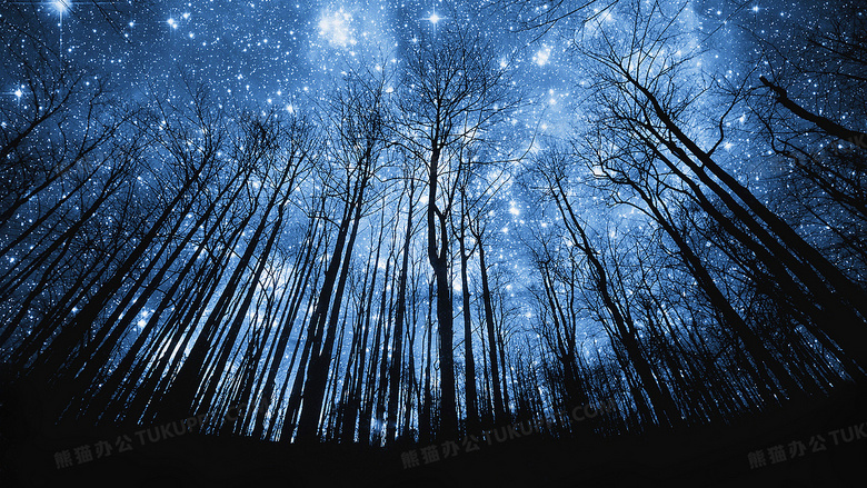 仰望夜空星空树林背景背景图片素材免费下载 树林背景 8000 4500像素 熊猫办公
